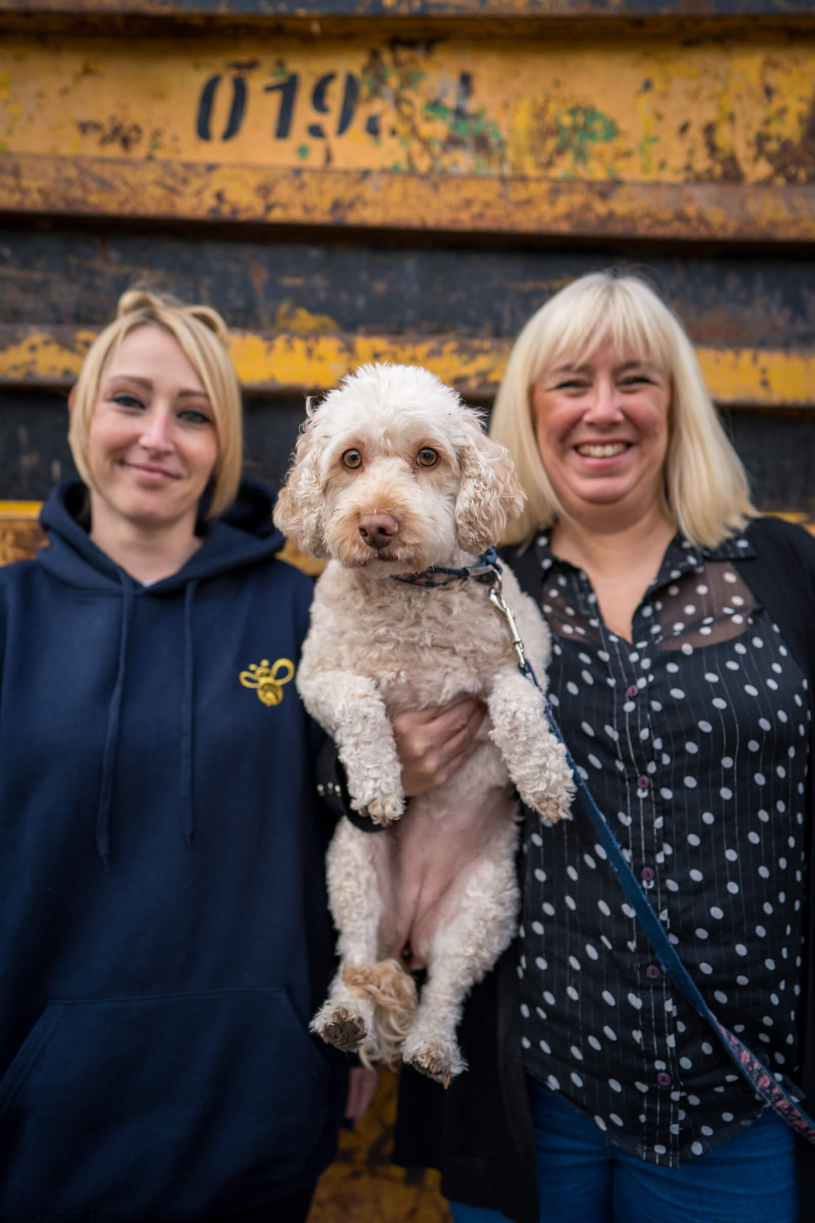 How to Choose the Right Waste Skip Hire Services